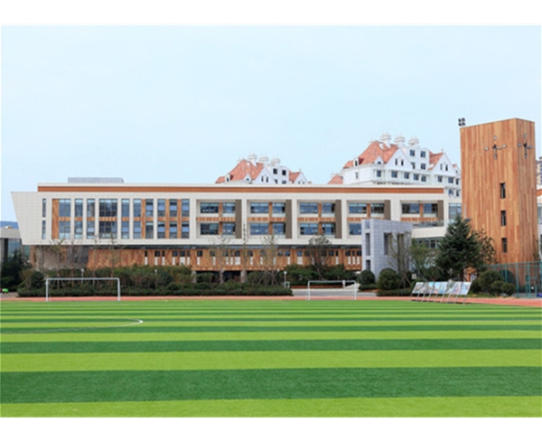 陶土板工程案例06